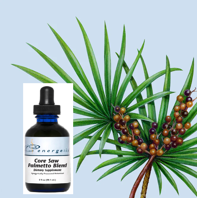 SAW PALMETTO Benefits and Uses!!! Dr Kate's Best