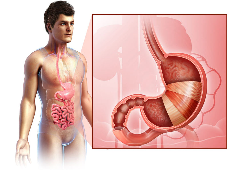 STOMACH!